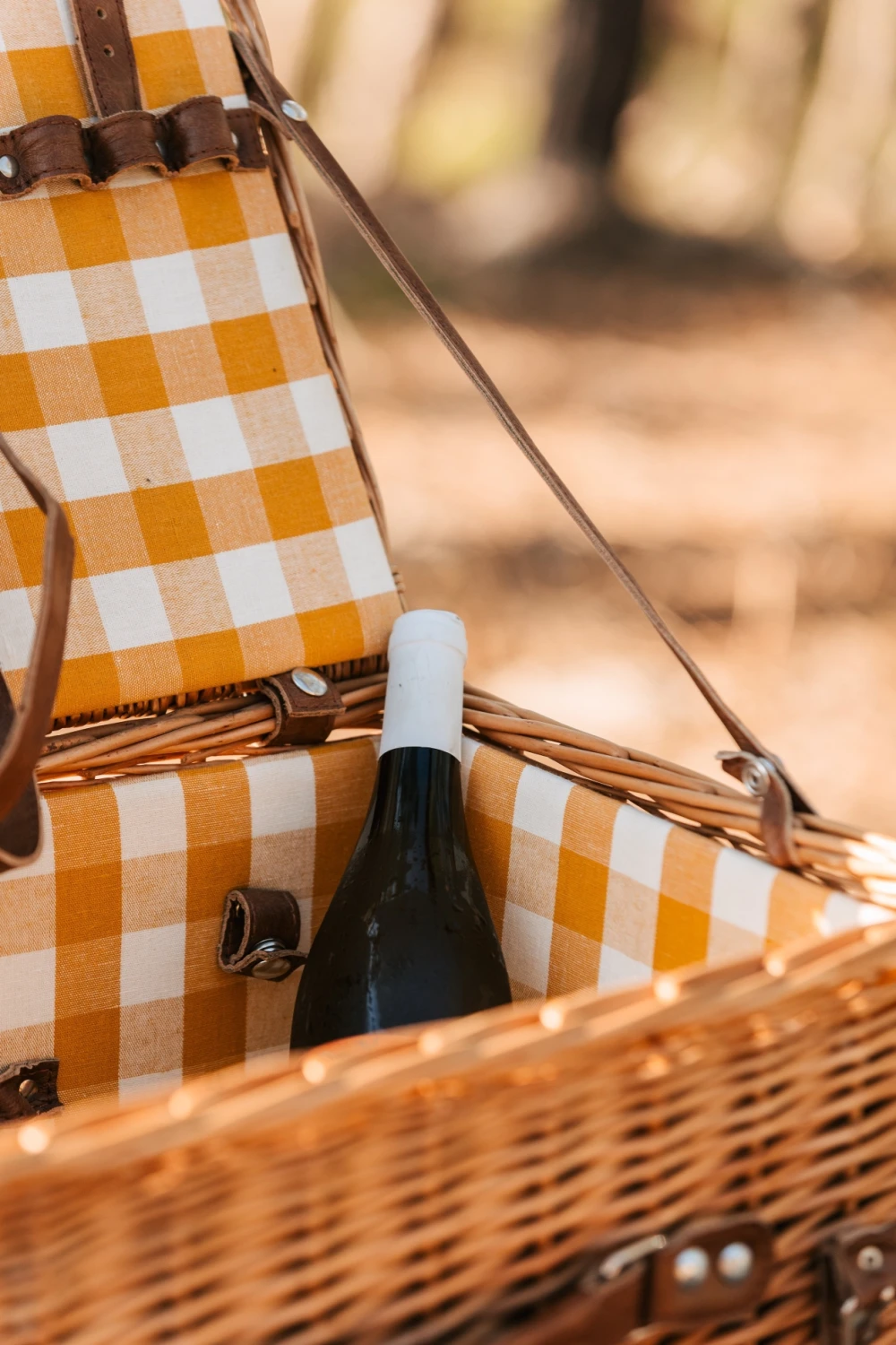 Picnic