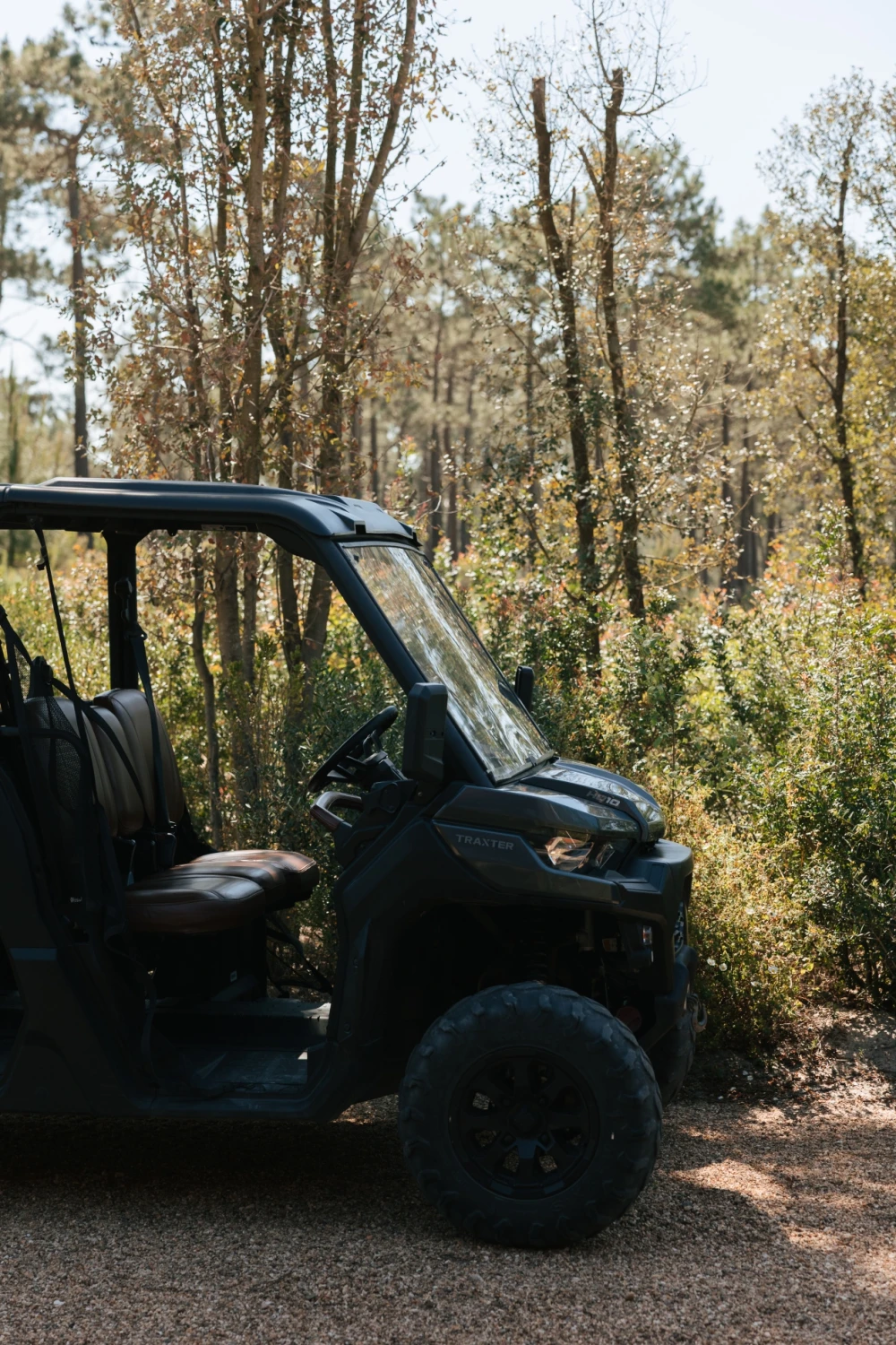 Buggy Tour