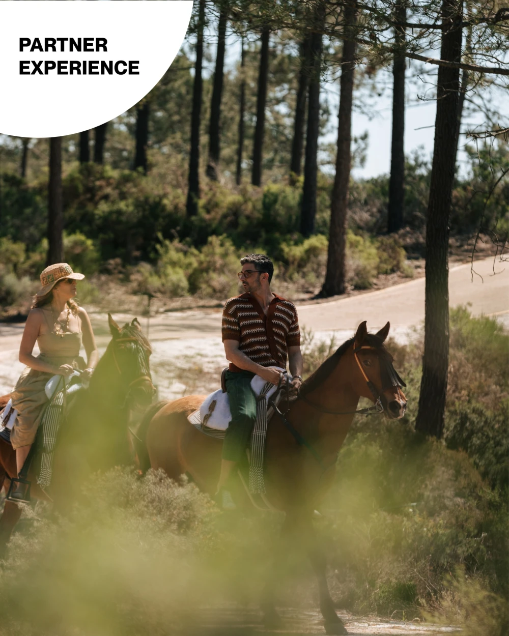 Horse Riding