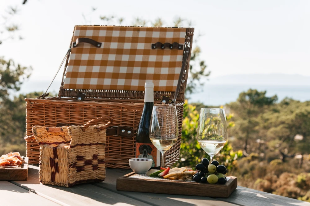 Oceanside Picnic 