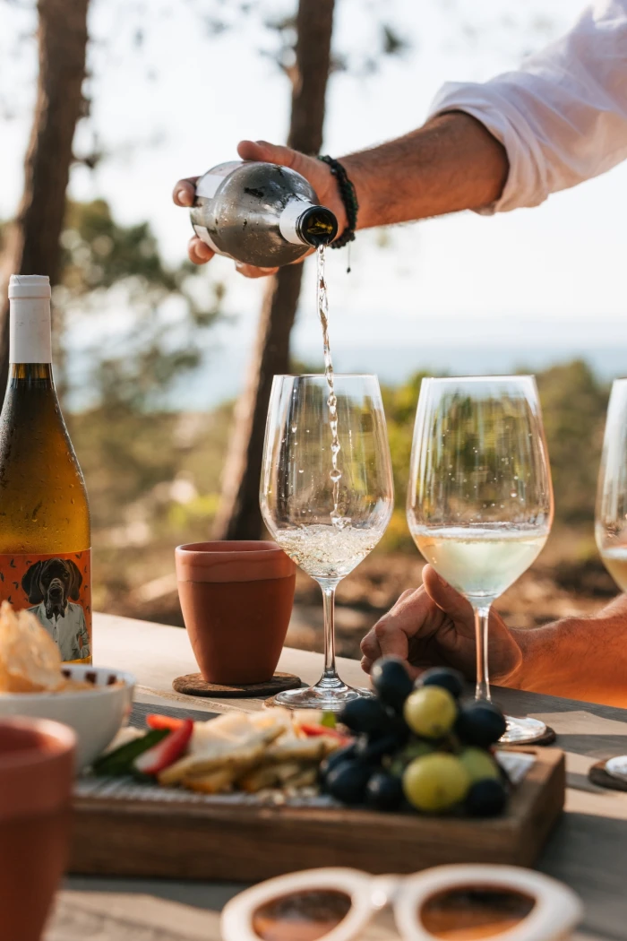 Prova de Vinhos